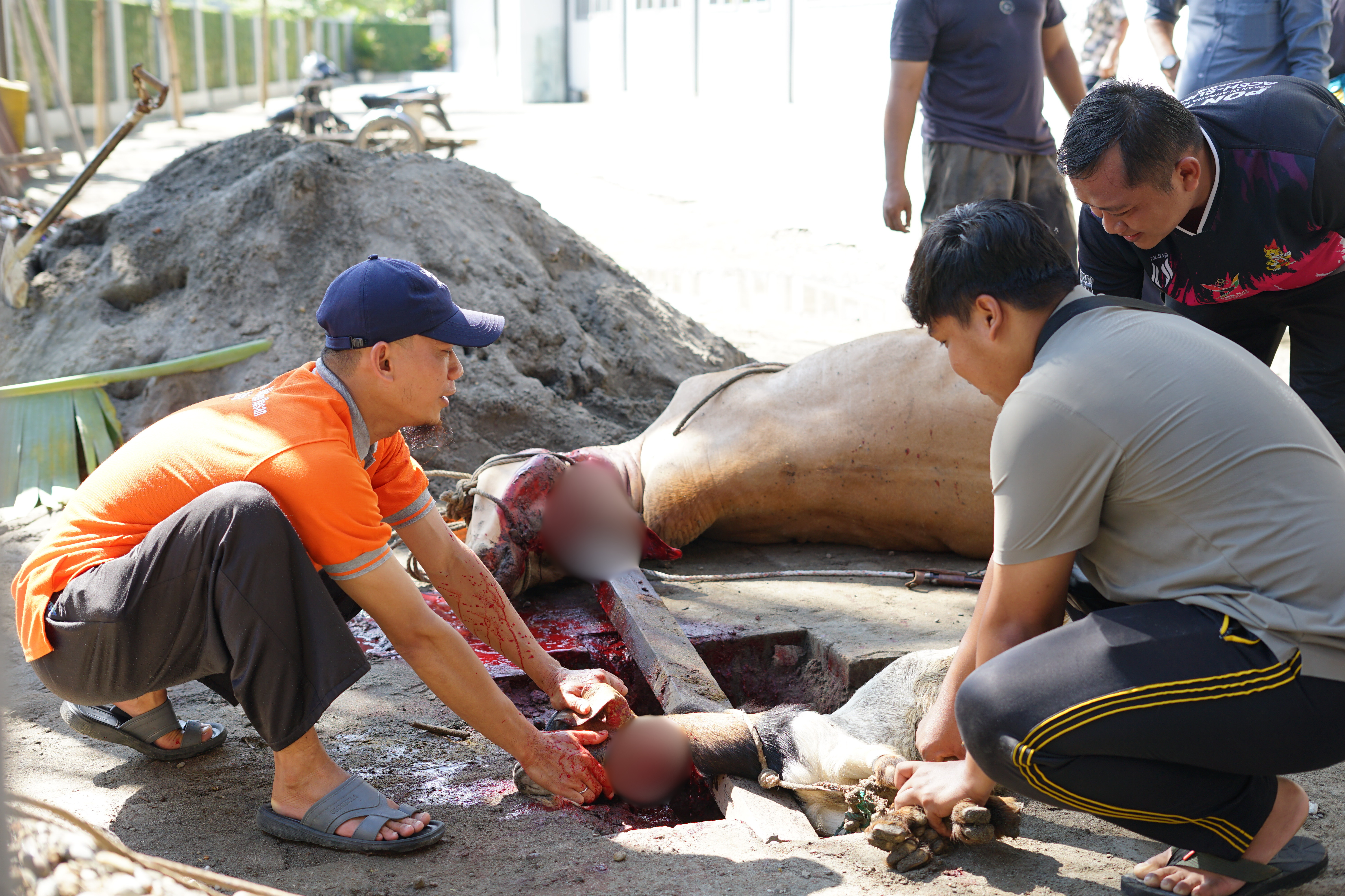 INSAN Bersama Yayasan Al-Ishlahiyah Semarakkan Idul Adha 1447 H Melalui Kegiatan Qurban